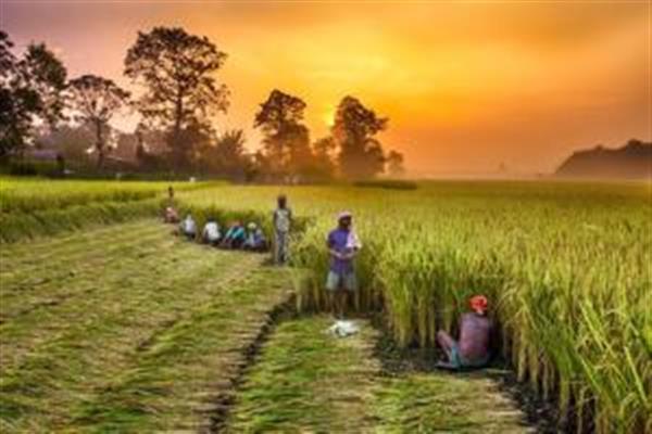 PM-KISAN providing vital support to small farmers like Sanjay Kumar of Panchayat Dhaggar