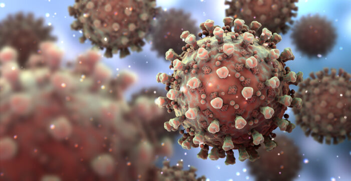 JK reports 74 new positive cases of novel Corona virus JK reports 74 new positive cases of novel Corona virus