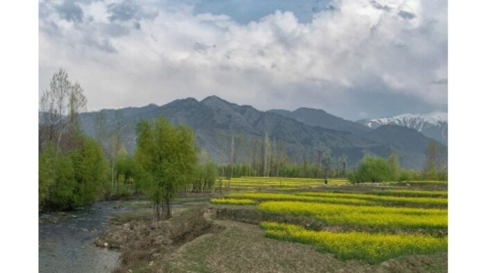 Roshni Act: J&K HC defers hearing on review petition to Dec 16