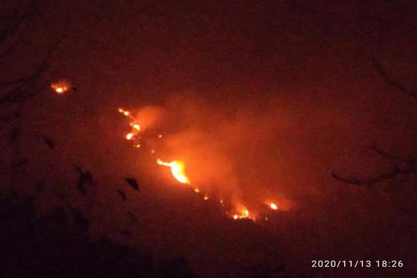Massive Forest Fire In Sindh Forest Range Kangan