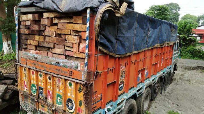 Vehicle with ‘illicit timber’ seized in south Kashmir
