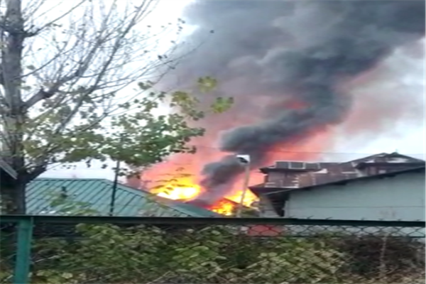 Tehsil office fire incident: Govt sets up 4-member committee to probe