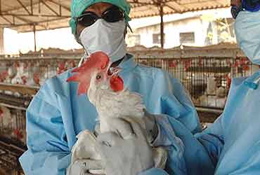 Red Fort Bird Flu Sample Tests Positive, Monument Closed Till Jan 26: Officials