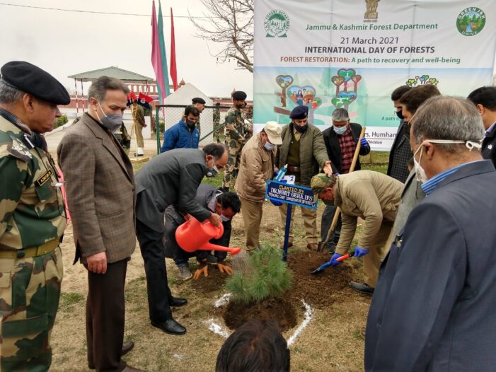 Ceremonial plantation marks International Day of Forests in Kashmir Ceremonial plantation marks International Day of Forests in Kashmir