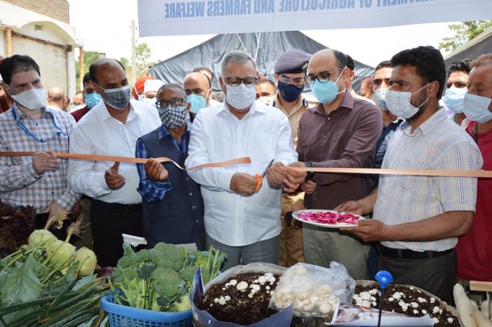 Advisor Farooq Khan inaugurates Micro Irrigation System at Pattan, launches prog for ‘Lal Mirchi’ revival Advisor Farooq Khan inaugurates Micro Irrigation System at Pattan, launches prog for ‘Lal Mirchi’ revival