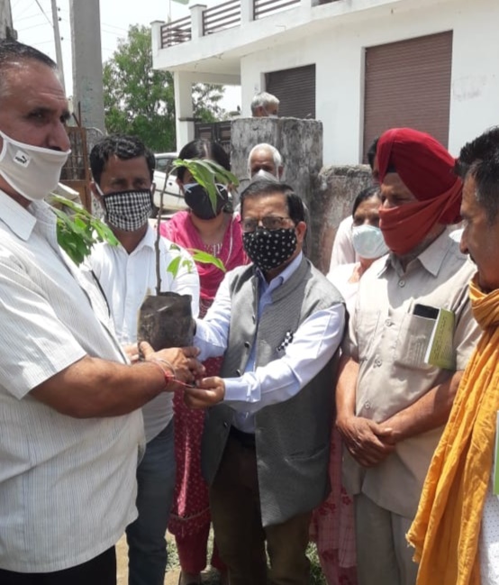 Horticulture department Jammu plants 1000 fruit saplings in each district to mark Work Environment Day Horticulture department Jammu plants 1000 fruit saplings in each district to mark Work Environment Day