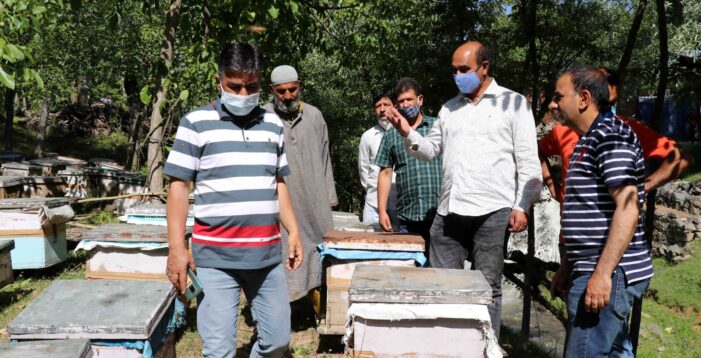 Department committed to promote Agri based SSCI in rural areas: Director Agriculture Department committed to promote Agri based SSCI in rural areas: Director Agriculture