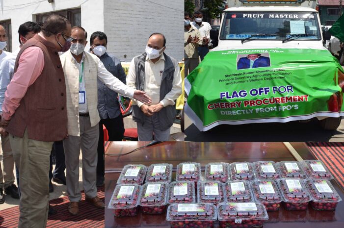Navin Choudhary flags off vans carrying cherry fruit produce for airlifting Navin Choudhary flags off vans carrying cherry fruit produce for airlifting