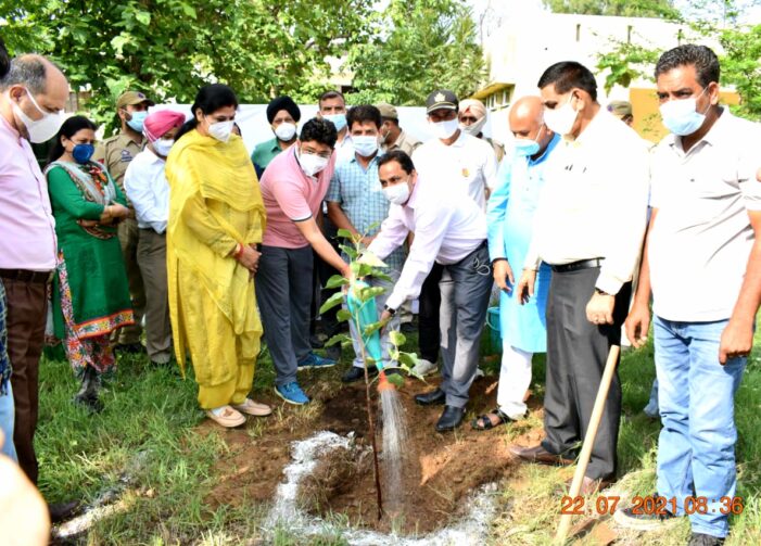 Plantation drive organized for green & clean Jammu Plantation drive organized for green & clean Jammu