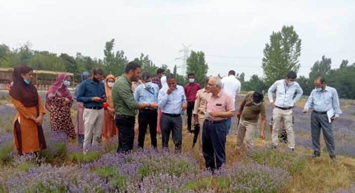 Union Secretary visits Lavender farm Bonura, Pulwama
