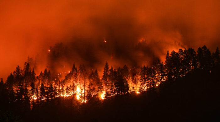 Thousands flee as wildfires engulf Greek island of Evia