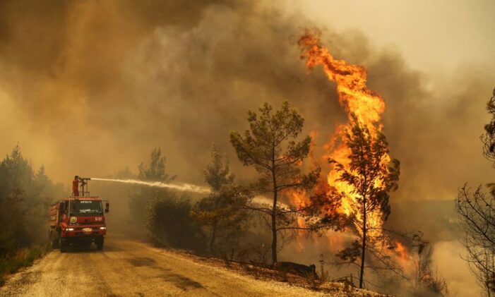 July was hottest month on record