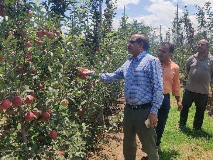 DG Horticulture Kashmir visits Tangmarg, B’la DG Horticulture Kashmir visits Tangmarg, B’la