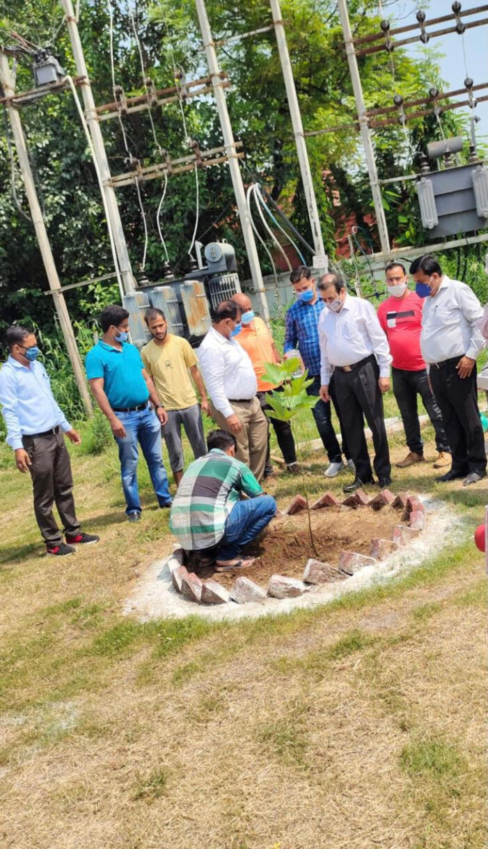 Plantation drive organised at Teacher Bhawan