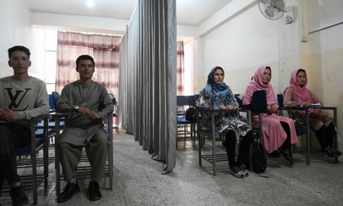 A curtain divides male, female students as Afghan universities reopen
