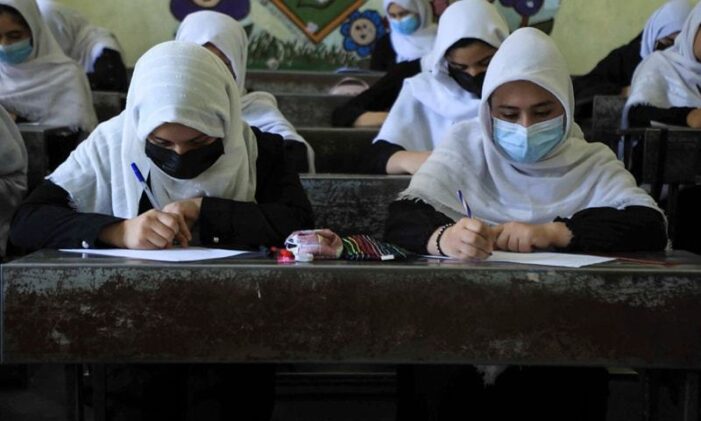 Afghan Taliban to announce secondary school for girls: Unicef deputy chief