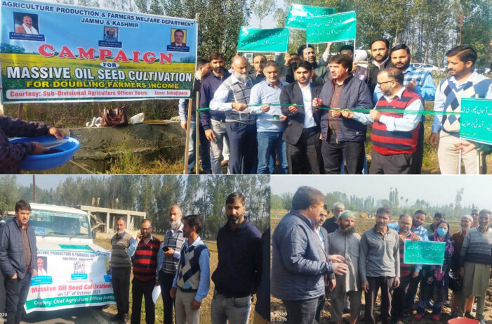 Agri. Dept Kmr launches valley-wide campaign to double area under Oilseeds (Mustard) Agri. Dept Kmr launches valley-wide campaign to double area under Oilseeds (Mustard)