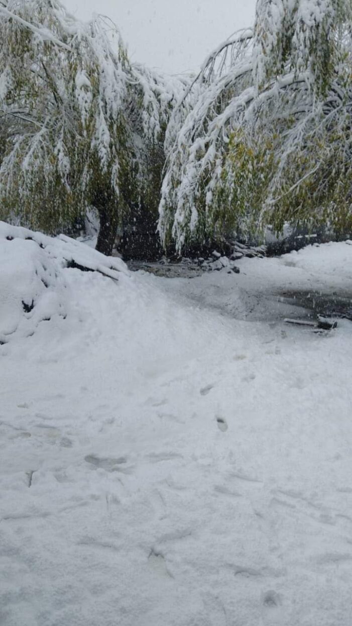 Rains Drench J&K, Light To Moderate Snowfall In Several Kashmir Parts Rains Drench J&K, Light To Moderate Snowfall In Several Kashmir Parts