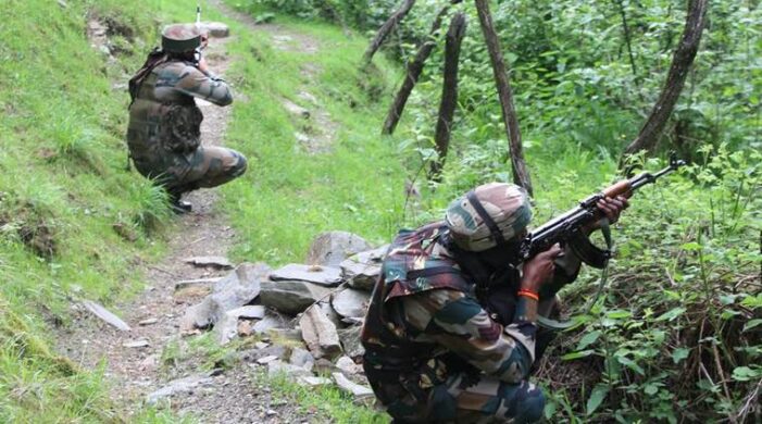 TRF Militant Killed in Shopian Gunfight: Police