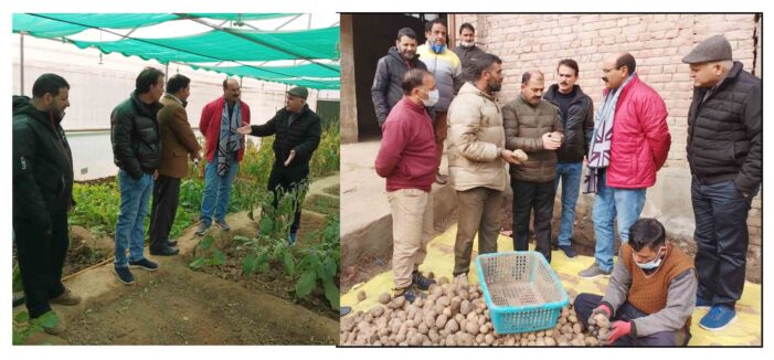 Director Agriculture visits Potato Seed Tuber Sorting & Grading plant, Lalmandi Director Agriculture visits Potato Seed Tuber Sorting & Grading plant, Lalmandi