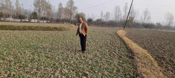 Director Agriculture Kashmir visits Kupwara Director Agriculture Kashmir visits Kupwara