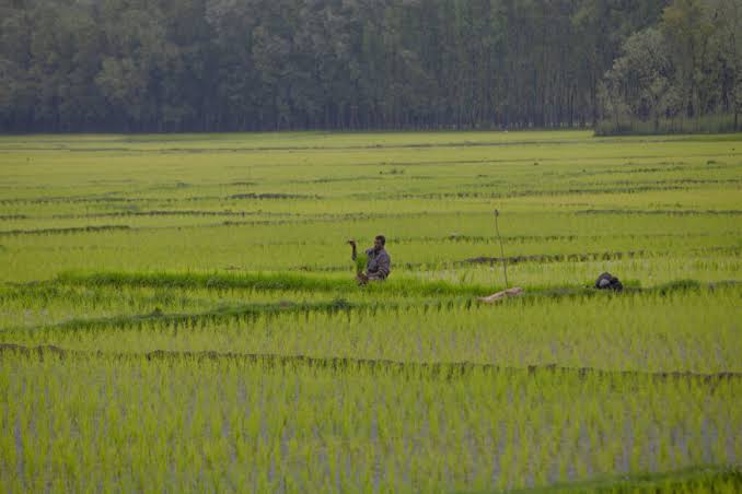 “Apni Zameen – Apni Nigrani” – A big hit among the masses