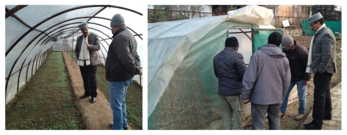 Director Agriculture reviews preparedness of vegetable seedling distribution