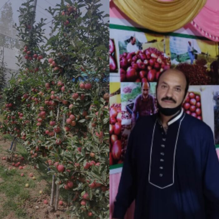 High Density Plantation gaining momentum at Kulgam