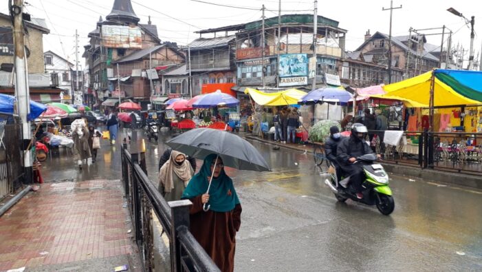 Rains and wet weather bring life fresh start in Srinagar