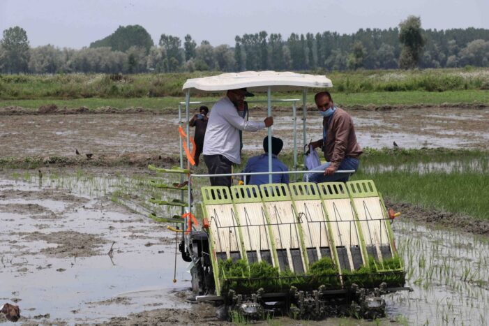 Agriculture: Driving force of J&Ks economy