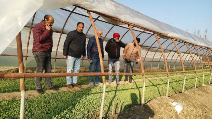 Director Agriculture reviews preparedness for valley wide vegetable seedling distribution drive