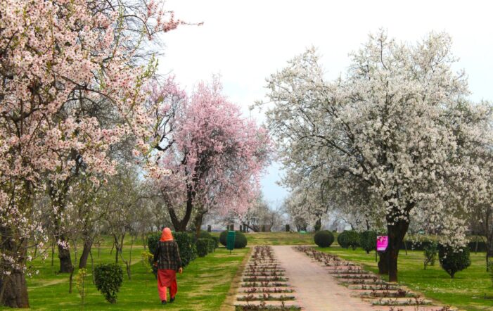Temperatures rise as dry weather conditions prevail in Kashmir