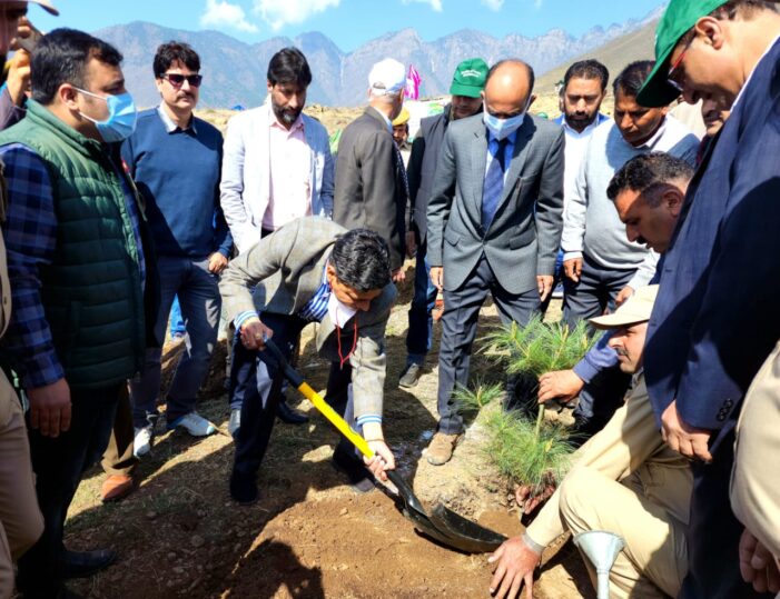 Comm Secy Forests kick starts plantation drive at SKUAST Forestry campus Benhama