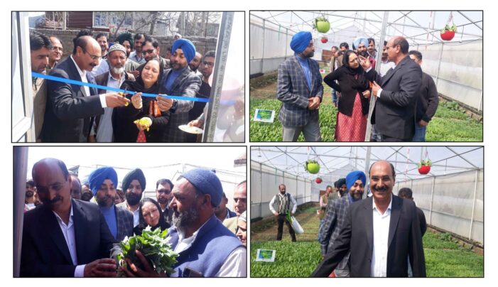 Director Agri. inaugurates vegetable seedling distribution at Hi-tech Poly house Wagoora, Bla