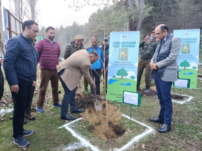 Div Com Kashmir kick-starts Plantation Drive at Tangmarg
