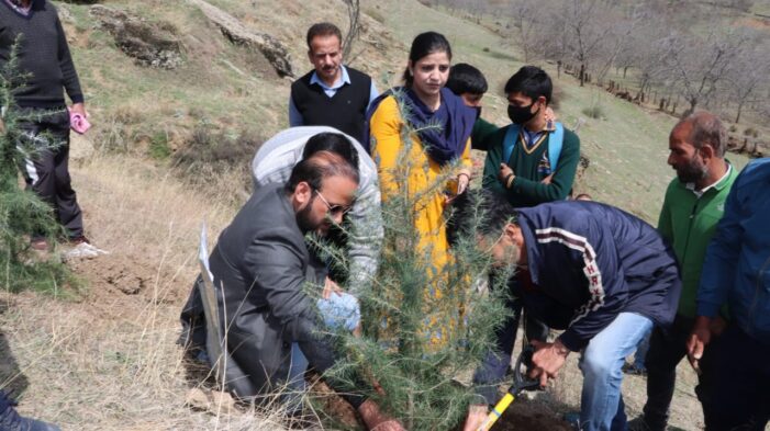 VC, LCMA kick starts plantation drive