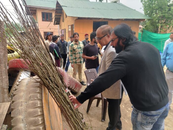 DG Horticulture monitors ongoing plantation drive within the pockets of Dal Lake