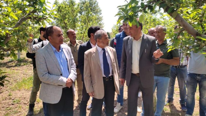 DG Horticulture, VC SKUAST-K conduct joint visit to Zainapora, Shopian