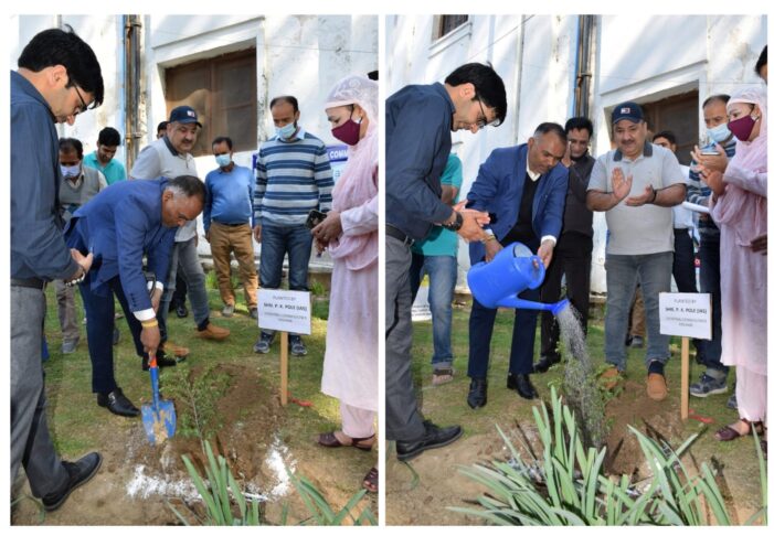 World Health Day: Div Com Kashmir plants Conifer sapling at Old Assembly Complex premises