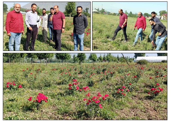 Director Agriculture Kashmir visits Floriculture Development Farm Nunnar, Ganderbal