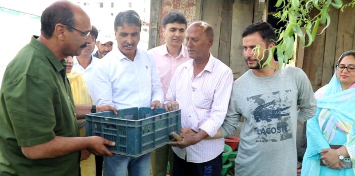 Director Agriculture Kashmir kick-starts sale of summer flower seedlings at Floriculture Nursery, Lalmandi