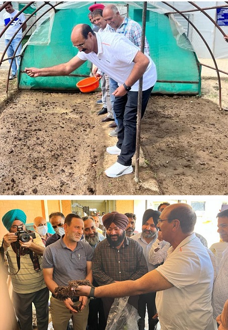 Director Agriculture Kashmir kick-starts Onion seed sowing at Kitchen Garden Lalmandi
