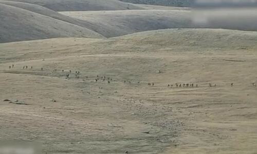 Fresh clashes between Armenia and Azerbaijan after deadly fighting