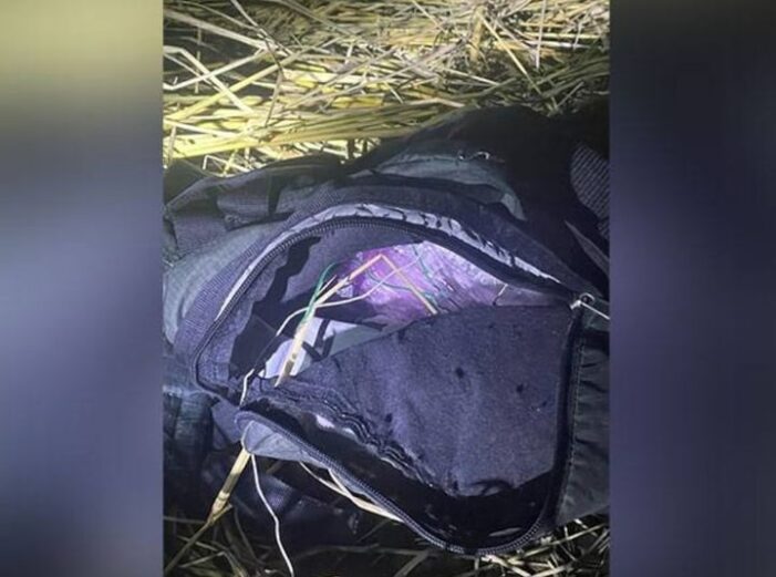 Two Explosives With Timers Found Inside Backpack In Jammu: Police