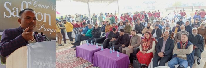 Tourism Dept organises Saffron festival at Pampore