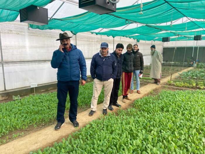 Director Agriculture Kashmir inspects Kitchen Garden Lalmandi, Srinagar