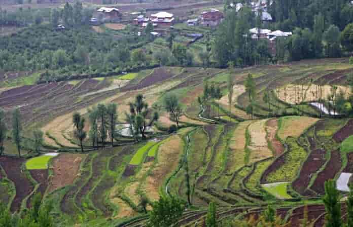 NC leader gets notice for occupying govt land in south Kashmir