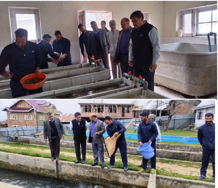 Adopt Best Management Practices to increase quality Trout seed production: Dir Fisheries