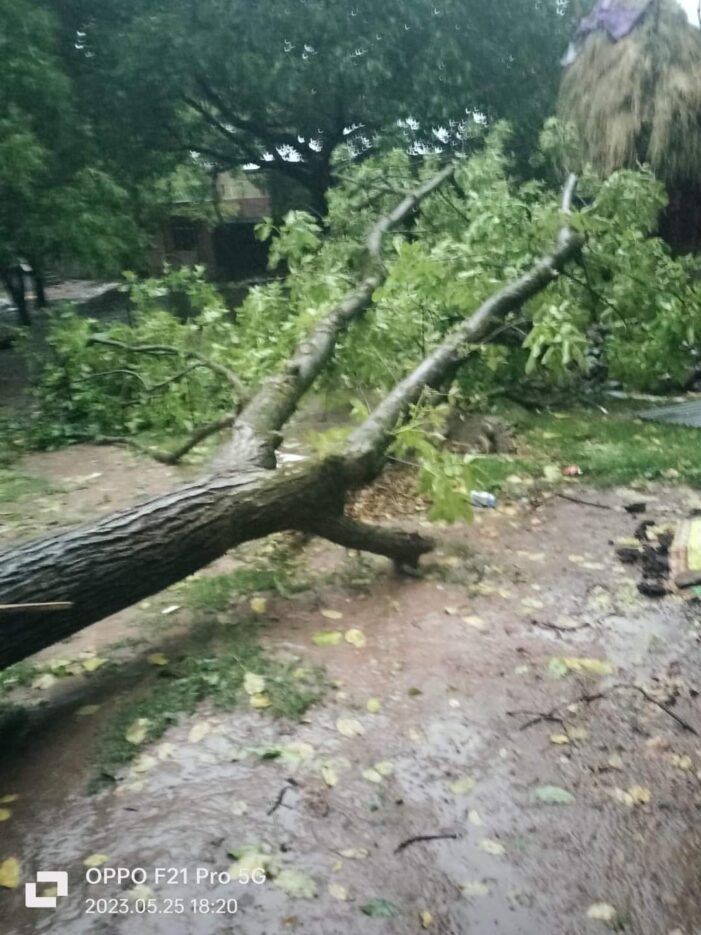 Hailstorm wreaks orchards, crops across north Kashmir