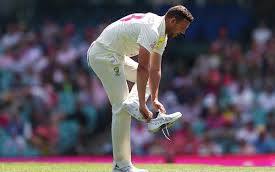 Josh Hazlewood declared fit for WTC final